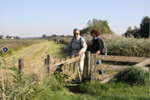 Wandelaars