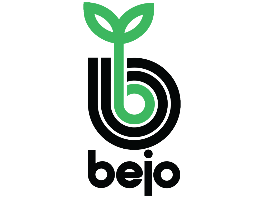 Bejo 2019