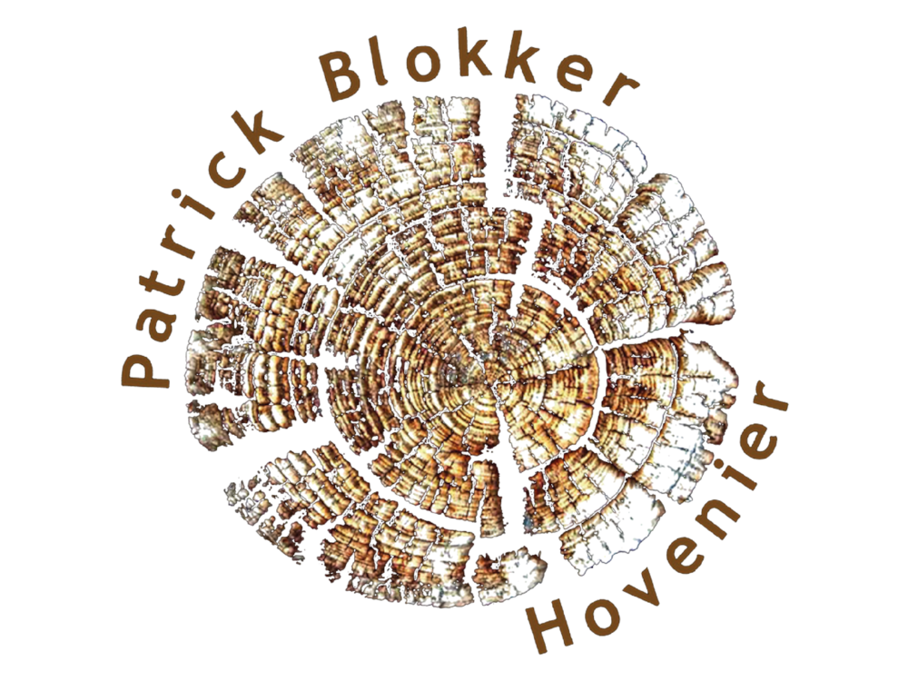 Patrick Blokker