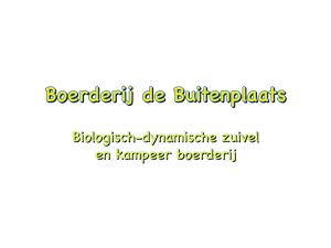 Loeigoeie Koeien Loeigoeie Koeien